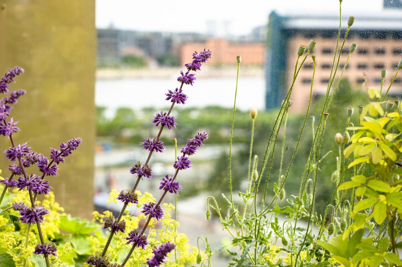 Next House Copenhagen旅舍 外观 照片 The garden of the hotel