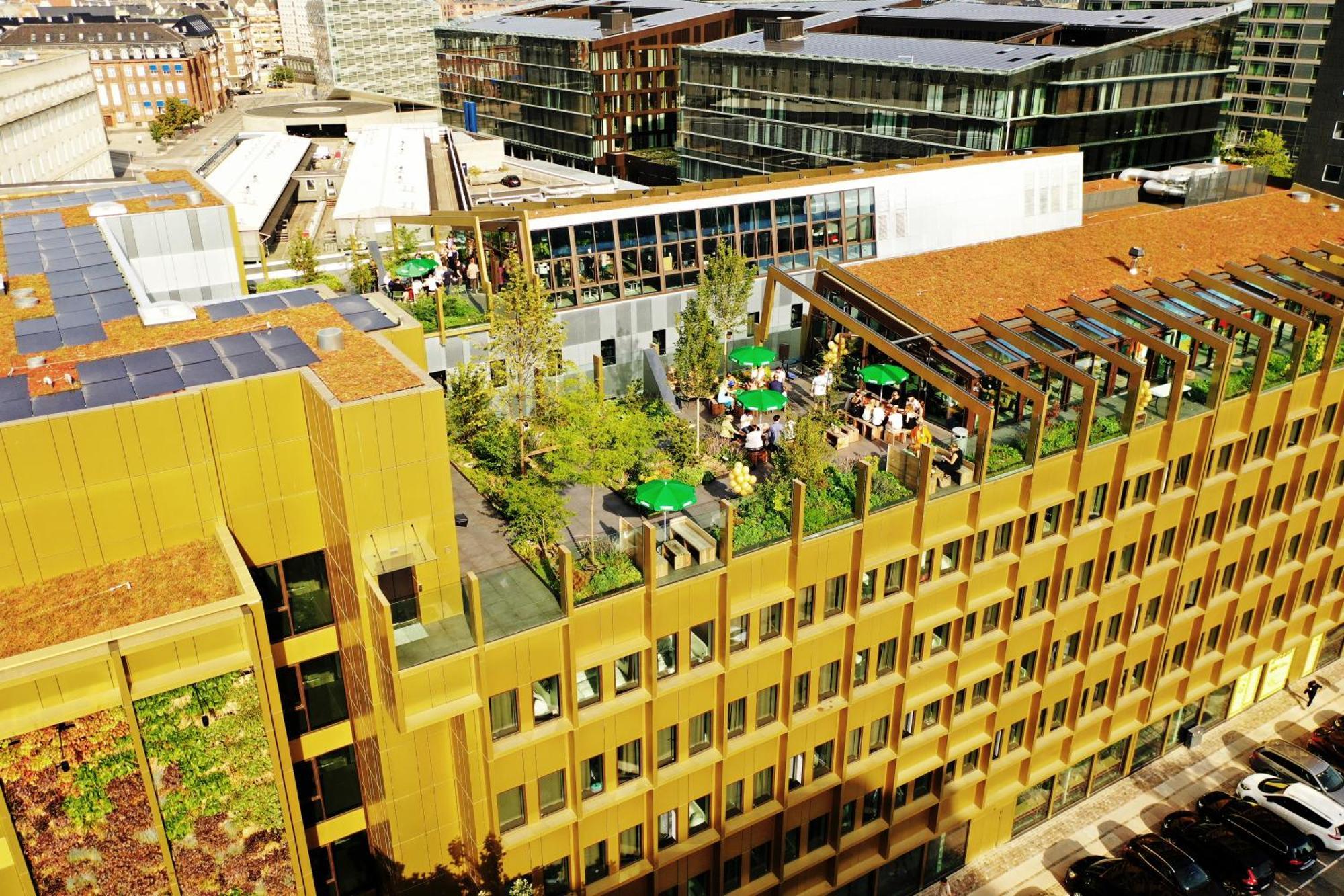 Next House Copenhagen旅舍 外观 照片 The building's rooftop garden